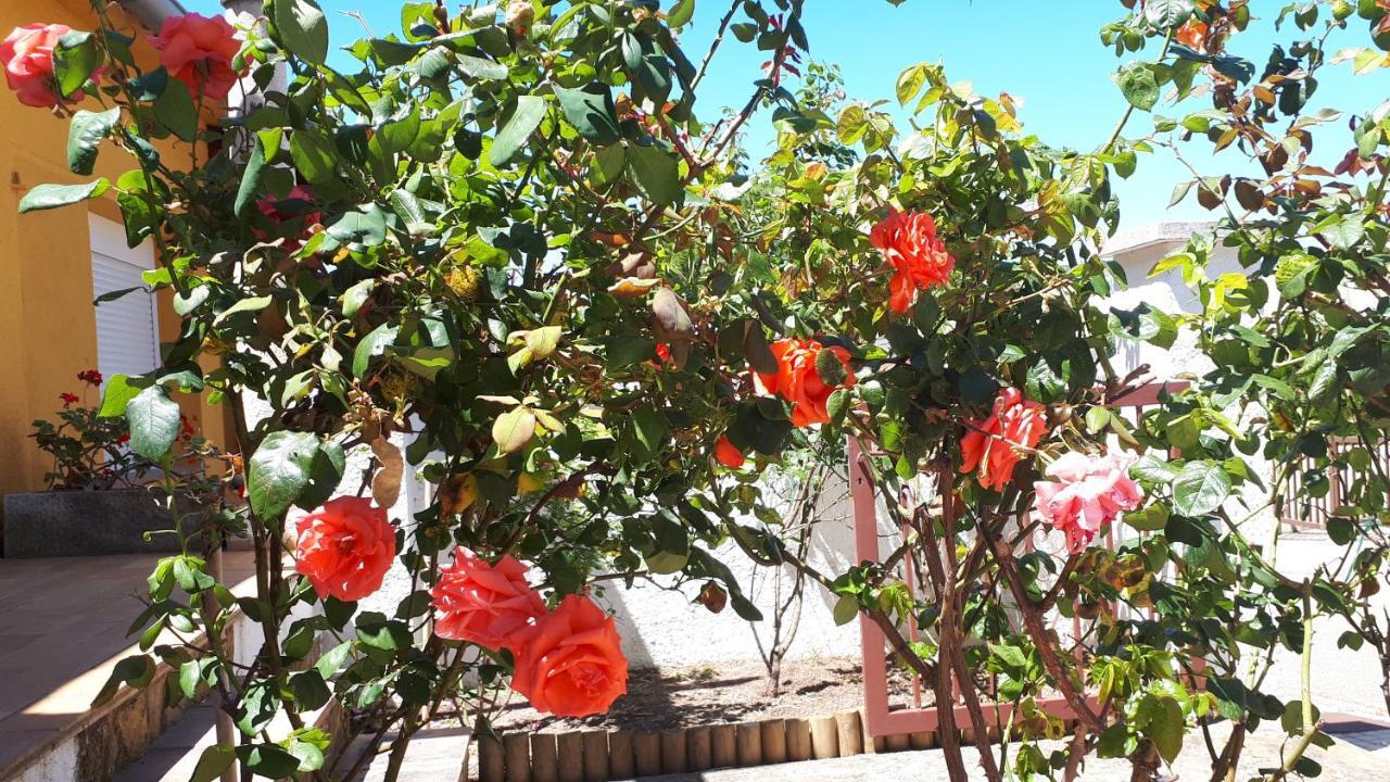 Casa Els Rosers Wifi L' Escala Εξωτερικό φωτογραφία